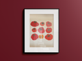 Tomatoes Frameless Canvas Print 30x40cm